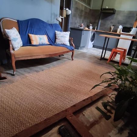 Studio 1 Chambre Ideal Salaries Nomades Montauban Exterior foto