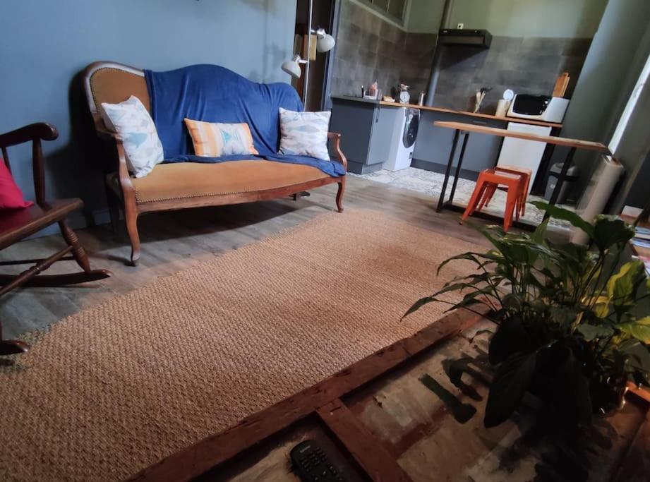 Studio 1 Chambre Ideal Salaries Nomades Montauban Exterior foto