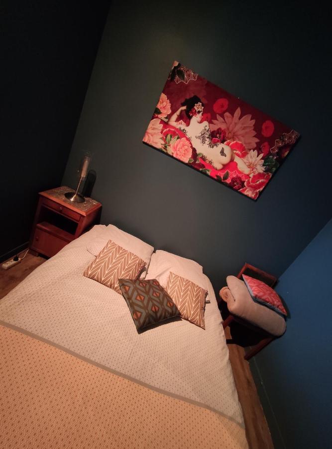 Studio 1 Chambre Ideal Salaries Nomades Montauban Exterior foto