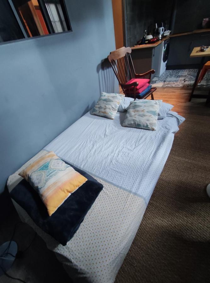 Studio 1 Chambre Ideal Salaries Nomades Montauban Exterior foto